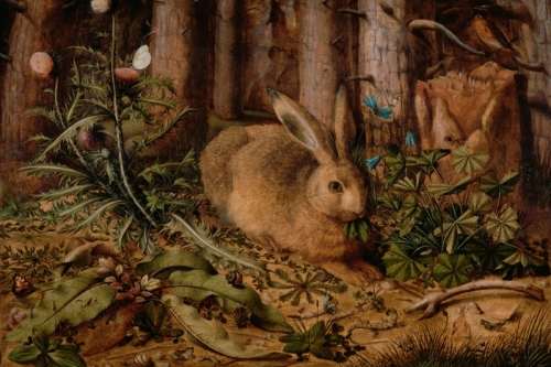 A Hare in the Forest By Hans Hoffmann Wall Art Painting Prints Poster Canvas Picture Hanging Photo Gift Idea Home Decor