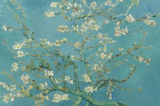 Almond Blossom By Vincent van Gogh Wall Art Painting Prints Poster Canvas Picture Hanging Photo Gift Idea Home Decor