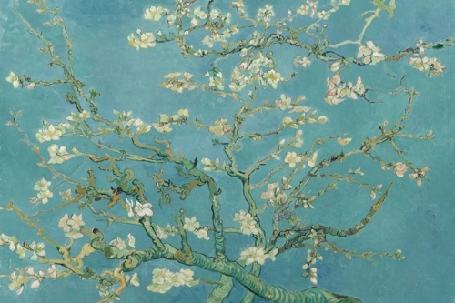 Almond Blossom By Vincent van Gogh Wall Art Painting Prints Poster Canvas Picture Hanging Photo Gift Idea Home Decor