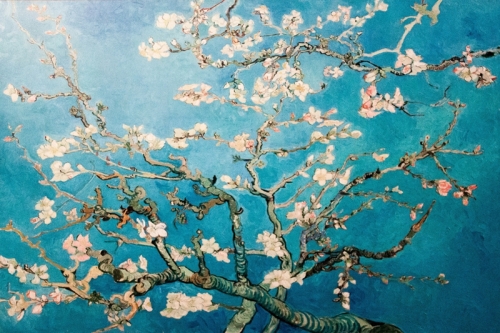 Almond Blossoms By Vincent van Gogh Wall Art Painting Prints Poster Canvas Picture Hanging Photo Gift Idea Home Decor
