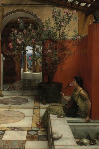 An Oleander By Lawrence Alma Tadema Wall Art Painting Prints Poster Canvas Picture Hanging Photo Gift Idea Home Decor