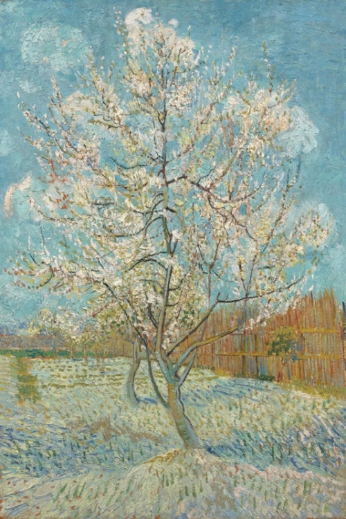 Blossoming Peach Tree The Pink Peach Tree By Vincent van Gogh Wall Art Painting Prints Poster Canvas Picture Hanging Photo Gift Idea Home Decor