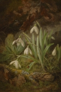 Forest Floor with Snowdrops By Josef Lauer Wall Art Painting Prints Poster Canvas Picture Hanging Photo Gift Idea Home Decor