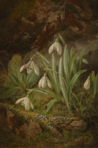 Forest Floor with Snowdrops By Josef Lauer Wall Art Painting Prints Poster Canvas Picture Hanging Photo Gift Idea Home Decor