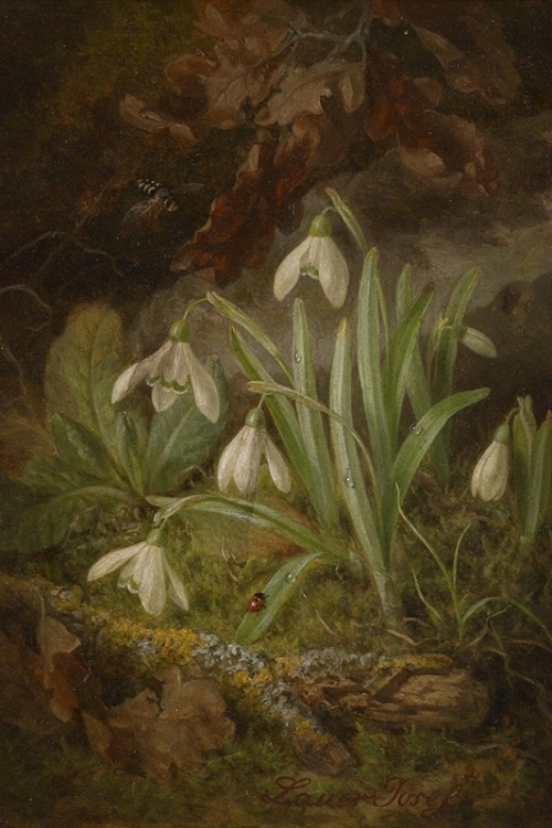 Forest Floor with Snowdrops By Josef Lauer Wall Art Painting Prints Poster Canvas Picture Hanging Photo Gift Idea Home Decor