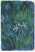 Irises By Claude Monet Wall Art Painting Prints Poster Canvas Picture Hanging Photo Gift Idea Home Decor