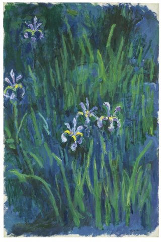Irises By Claude Monet Wall Art Painting Prints Poster Canvas Picture Hanging Photo Gift Idea Home Decor