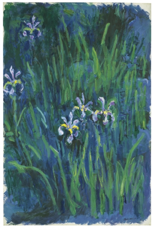 Irises By Claude Monet Wall Art Painting Prints Poster Canvas Picture Hanging Photo Gift Idea Home Decor