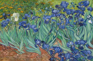 Irises By Vincent van Gogh Wall Art Painting Prints Poster Canvas Picture Hanging Photo Gift Idea Home Decor