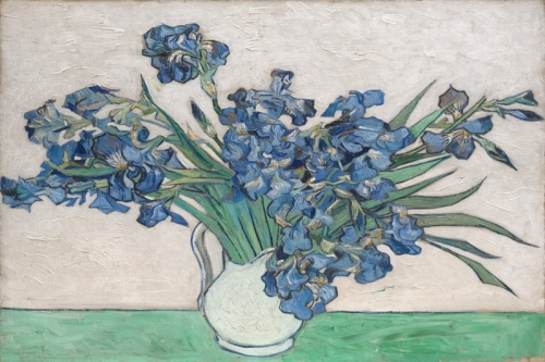 Irises By Vincent van Gogh Wall Art Painting Prints Poster Canvas Picture Hanging Photo Gift Idea Home Decor