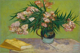 Oleanders By Vincent van Gogh Wall Art Painting Prints Poster Canvas Picture Hanging Photo Gift Idea Home Decor