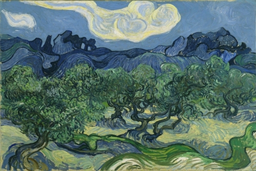 Olive Grove Olive Orchard The Olive Trees By Vincent van Gogh Wall Art Painting Prints Poster Canvas Picture Hanging Photo Gift Idea Home Decor