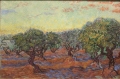 Olive Orchard Olive Trees By Vincent van Gogh Wall Art Painting Prints Poster Canvas Picture Hanging Photo Gift Idea Home Decor