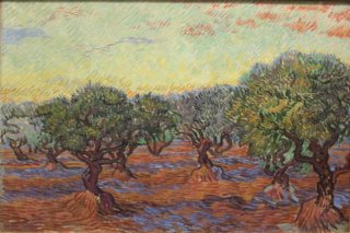 Olive Orchard Olive Trees By Vincent van Gogh Wall Art Painting Prints Poster Canvas Picture Hanging Photo Gift Idea Home Decor