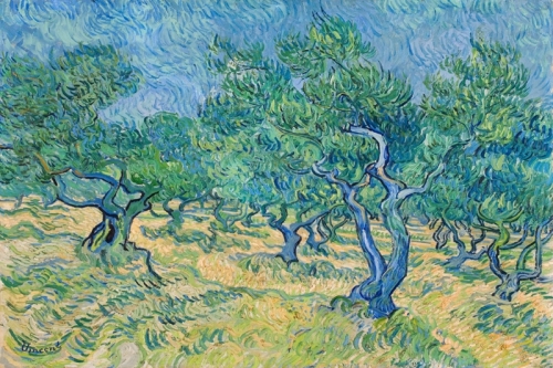 Olive Orchard Olive Trees By Vincent van Gogh Wall Art Painting Prints Poster Canvas Picture Hanging Photo Gift Idea Home Decor