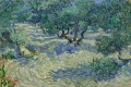 Olive Trees Olive Orchard By Vincent van Gogh Wall Art Painting Prints Poster Canvas Picture Hanging Photo Gift Idea Home Decor