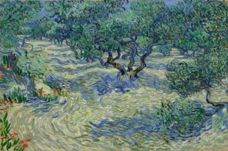 Olive Trees Olive Orchard By Vincent van Gogh Wall Art Painting Prints Poster Canvas Picture Hanging Photo Gift Idea Home Decor