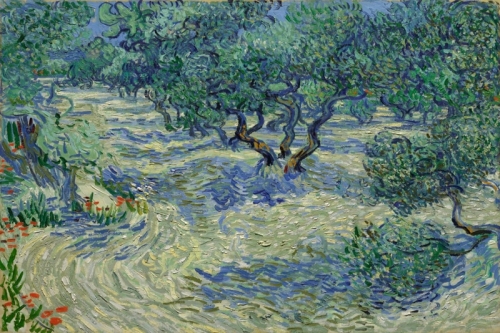 Olive Trees Olive Orchard By Vincent van Gogh Wall Art Painting Prints Poster Canvas Picture Hanging Photo Gift Idea Home Decor