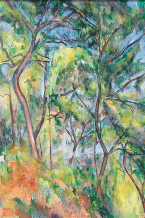 Sous Bois By Paul Cezanne Wall Art Painting Prints Poster Canvas Picture Hanging Photo Gift Idea Home Decor