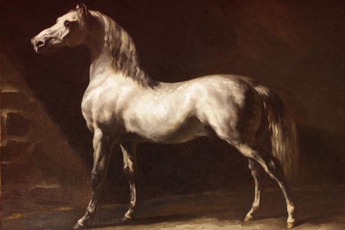 Study of a Dapple Grey By Theodore Gericault Wall Art Painting Prints Poster Canvas Picture Hanging Photo Gift Idea Home Decor