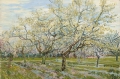 The White Orchard By Vincent van Gogh Wall Art Painting Prints Poster Canvas Picture Hanging Photo Gift Idea Home Decor