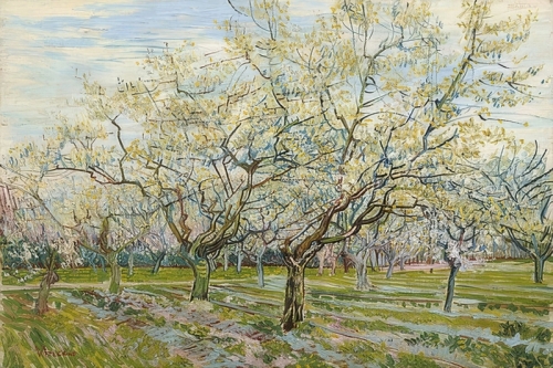 The White Orchard By Vincent van Gogh Wall Art Painting Prints Poster Canvas Picture Hanging Photo Gift Idea Home Decor