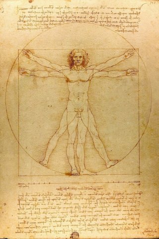 Vitruvian Man By Leonardo da Vinci Wall Art Painting Prints Poster Canvas Picture Hanging Photo Gift Idea Home Decor