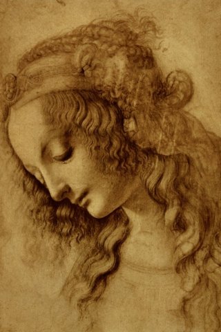 Woman in Profile By Leonardo da Vinci Wall Art Painting Prints Poster Canvas Picture Hanging Photo Gift Idea Home Decor